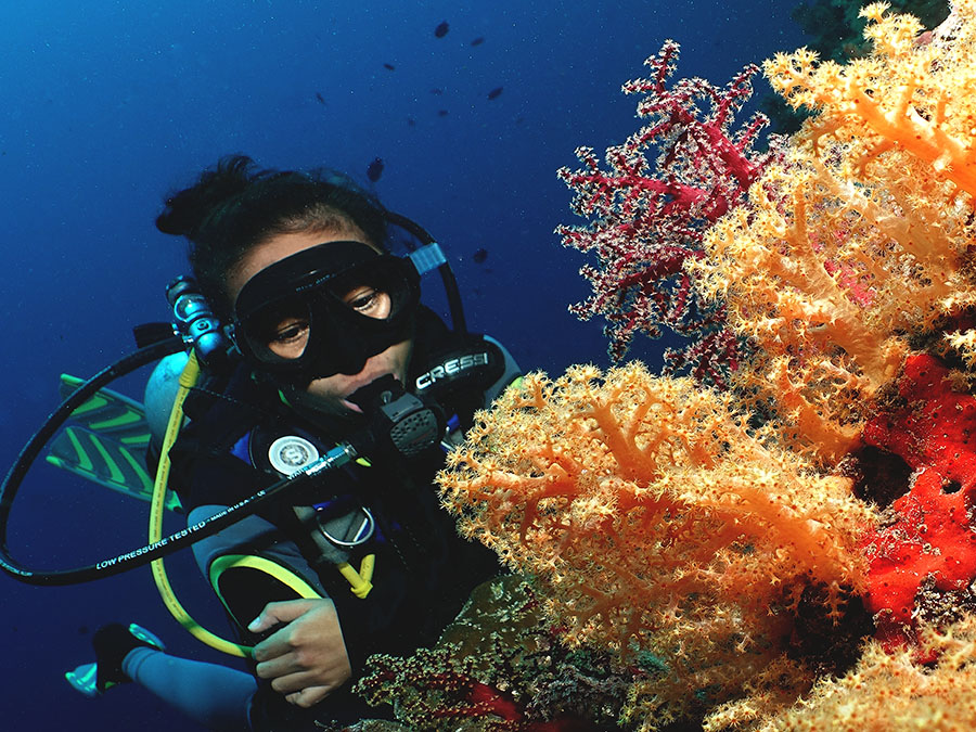 girl and soft coral